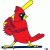 cardinalal